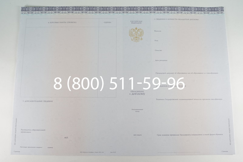 Диплом бакалавра (Киржач) 2014-2024 года в Кирове