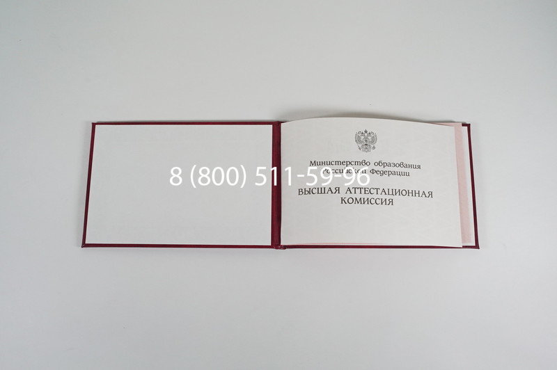 Диплом доктора наук 1995-2006 года в Кирове Диплом доктора наук 1995-2006 года в Кирове